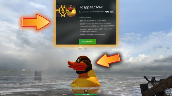 Welcome baby уточки. Как получить уточку. Утенок для детей. Утки из роблокса. Уточка wot blitz.