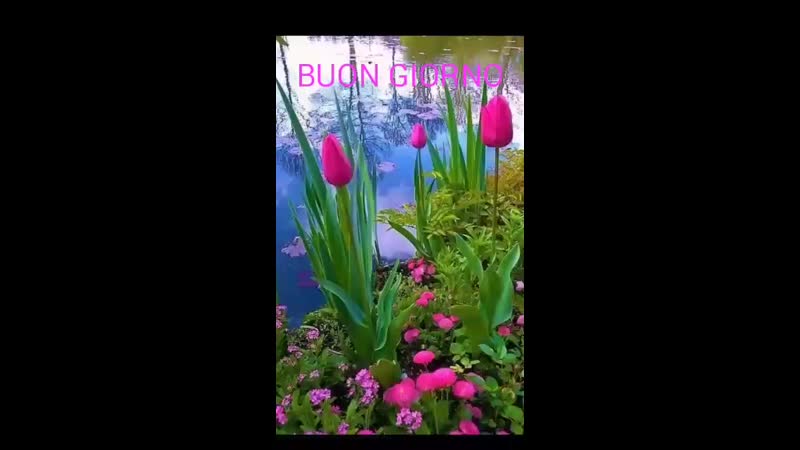 VID-20181205-WA0022.mp4