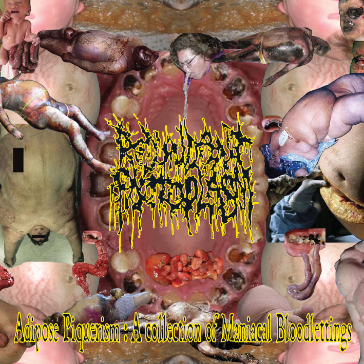 Redundant Protoplasm - Adipose Piquerism: A Collection Of Maniacal Bloodlettings