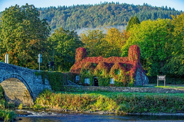 канада, джаспер, озеро. каскадные горы штат вашингтон. поселки в уэльсе фото. маунтин-лейкс. фьорд григ.