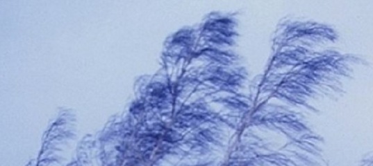 Вдруг дунет ветер ледяной. Стрибог бог ветра. Адреналин стадиум эпидемия. Вдруг дунет ветер ледяной. Ночью ударил сильный мороз он сковал.