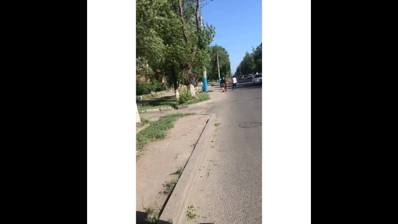 2020 айт
