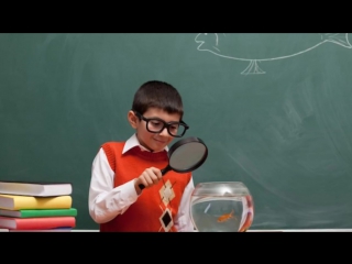 10 Ложных Фактов, Которые Мы Считаем Правдой