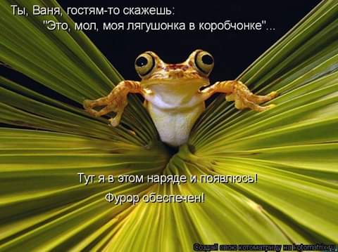 Учитель русского языка сокрушалась по поводу того, что нынче дети в шестом классе не знают множества слов Веретено, например. Или глаголить. Или вдругорядь. Нет, веретено я еще понимаю. Хотя