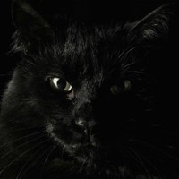 Фото Dexter Dex ВКонтакте
