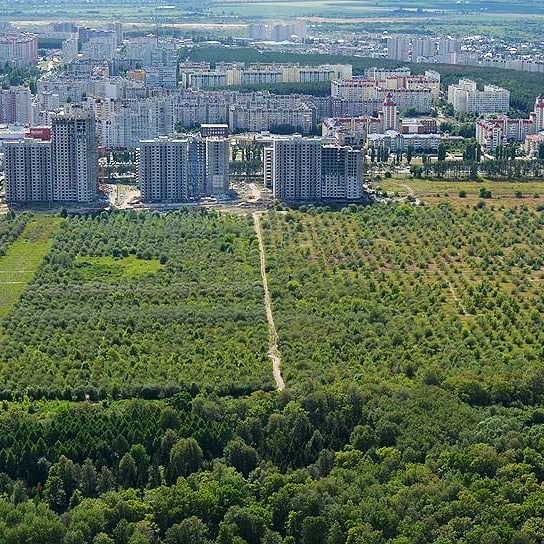 Воронеж яблоневые сады фото Воронеж яблоневые сады фото