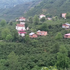 Cumhur Hamarat, 27.5.2006